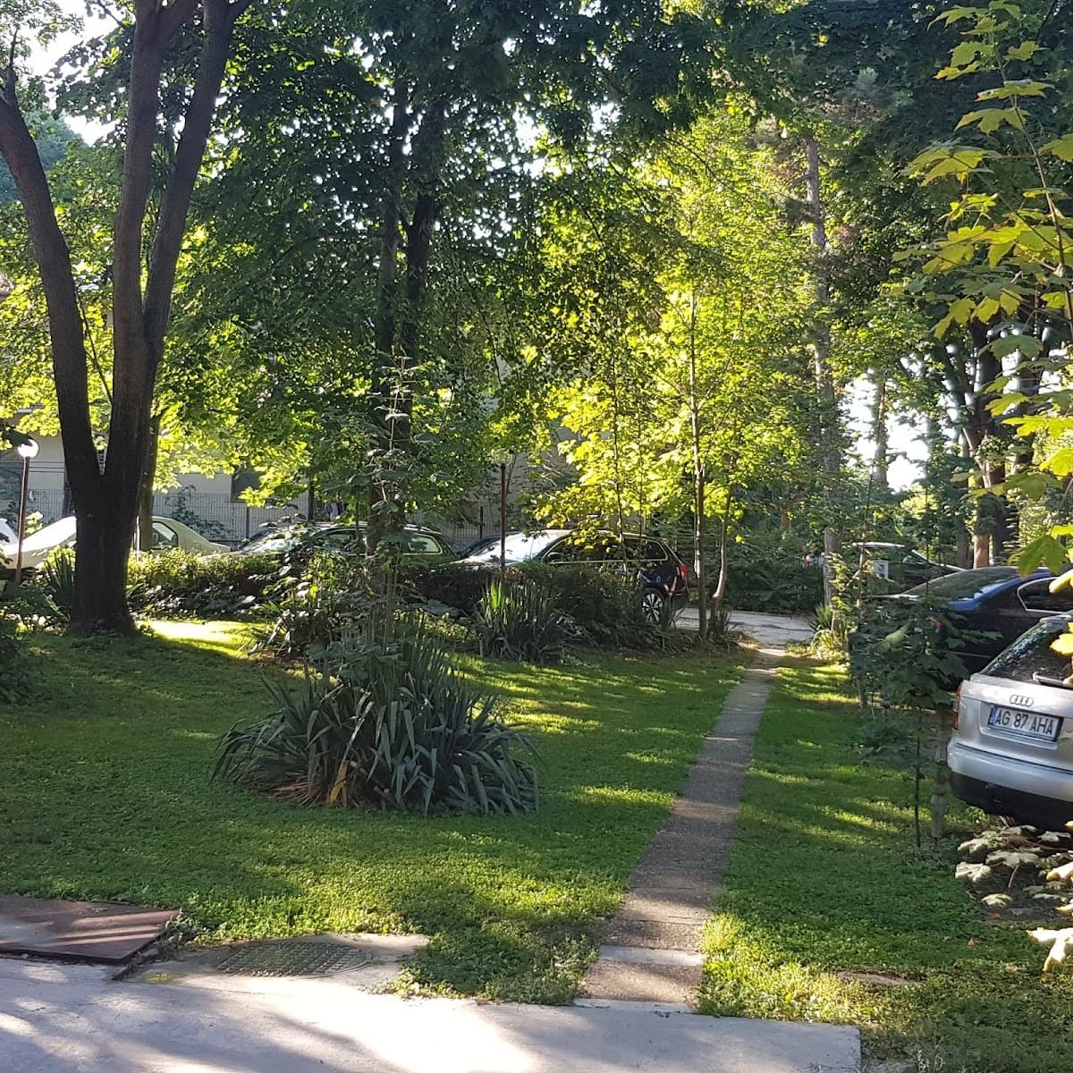 Cazare Eforie Nord Vila Antaris 3