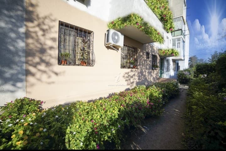 Cazare Mangalia-Apartament Daniela