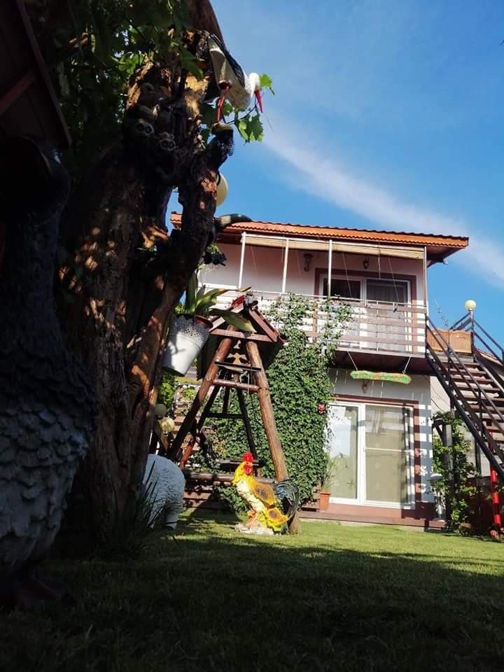 CAZARE TUZLA CASA EVELINE