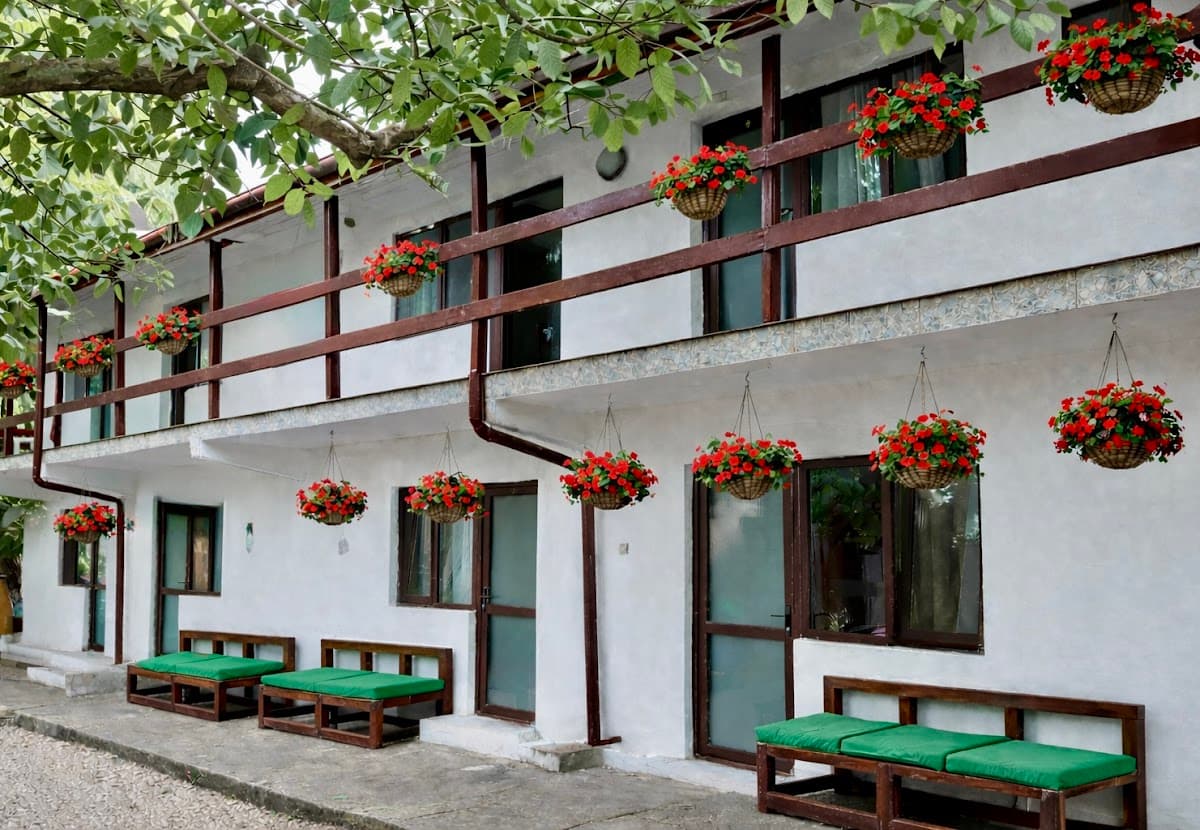 Pensiunea Casa Nucilor