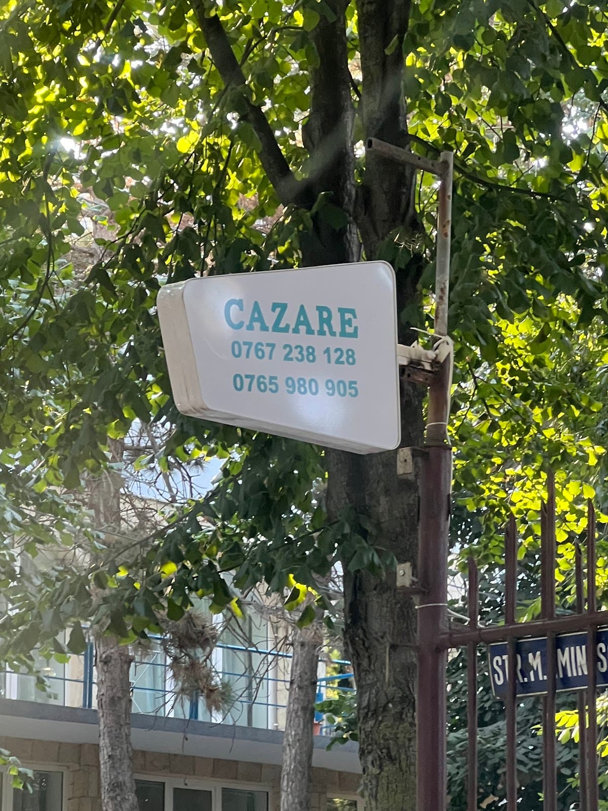 Pensiunea Dumbrava 3