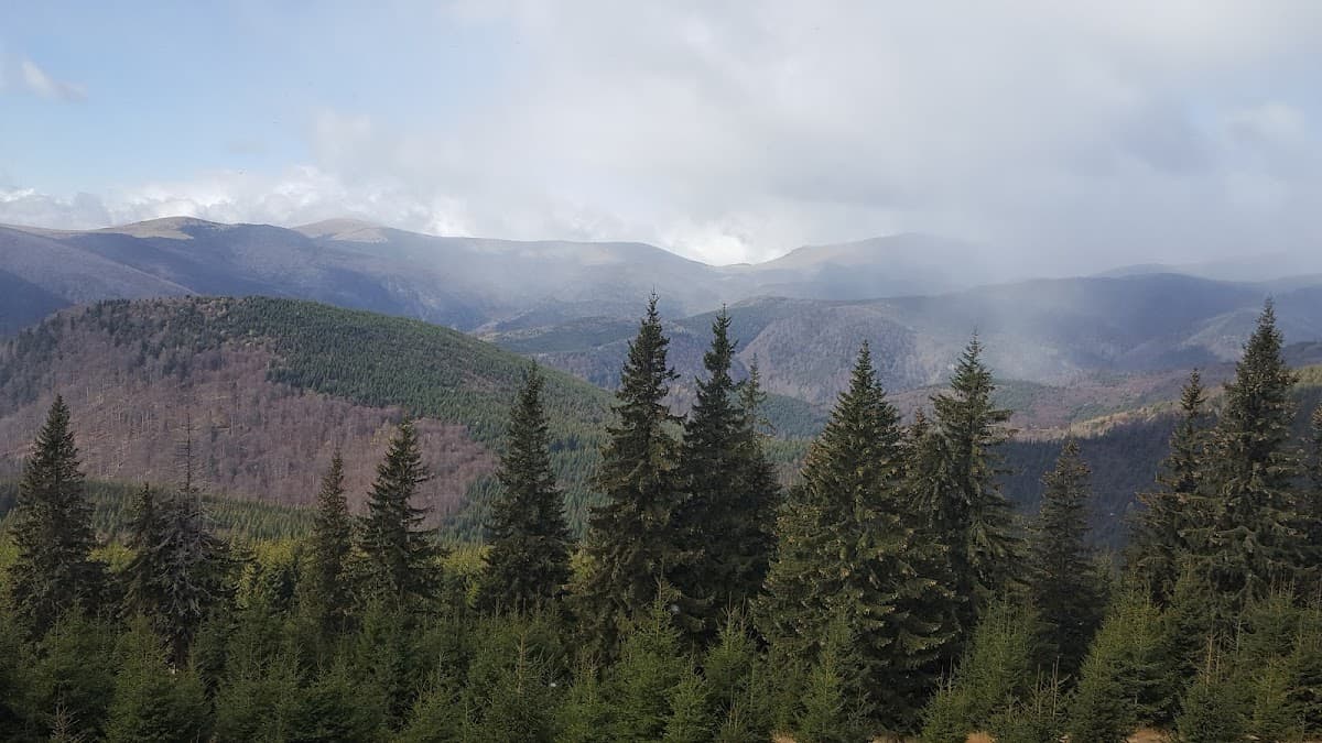 Pensiunea Geo Ranca 3