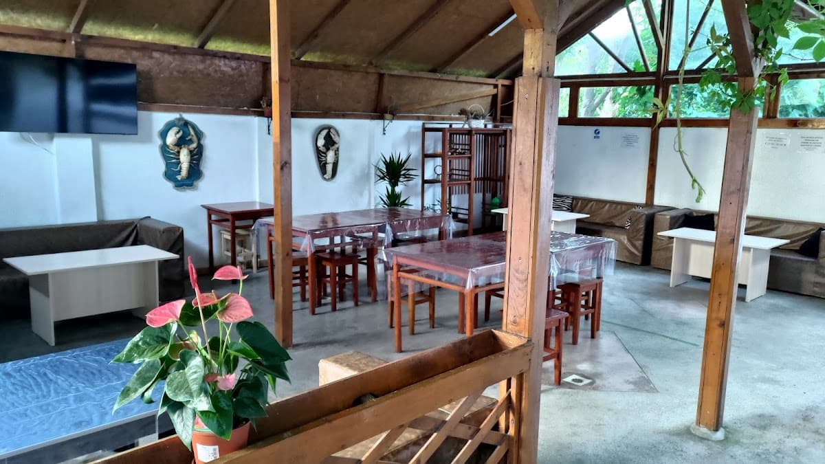 Pensiunea Holiday House Costinesti 2