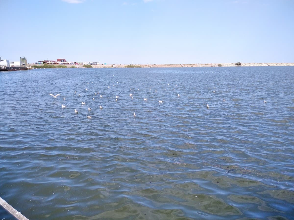 Sunny Yachting Mangalia 3