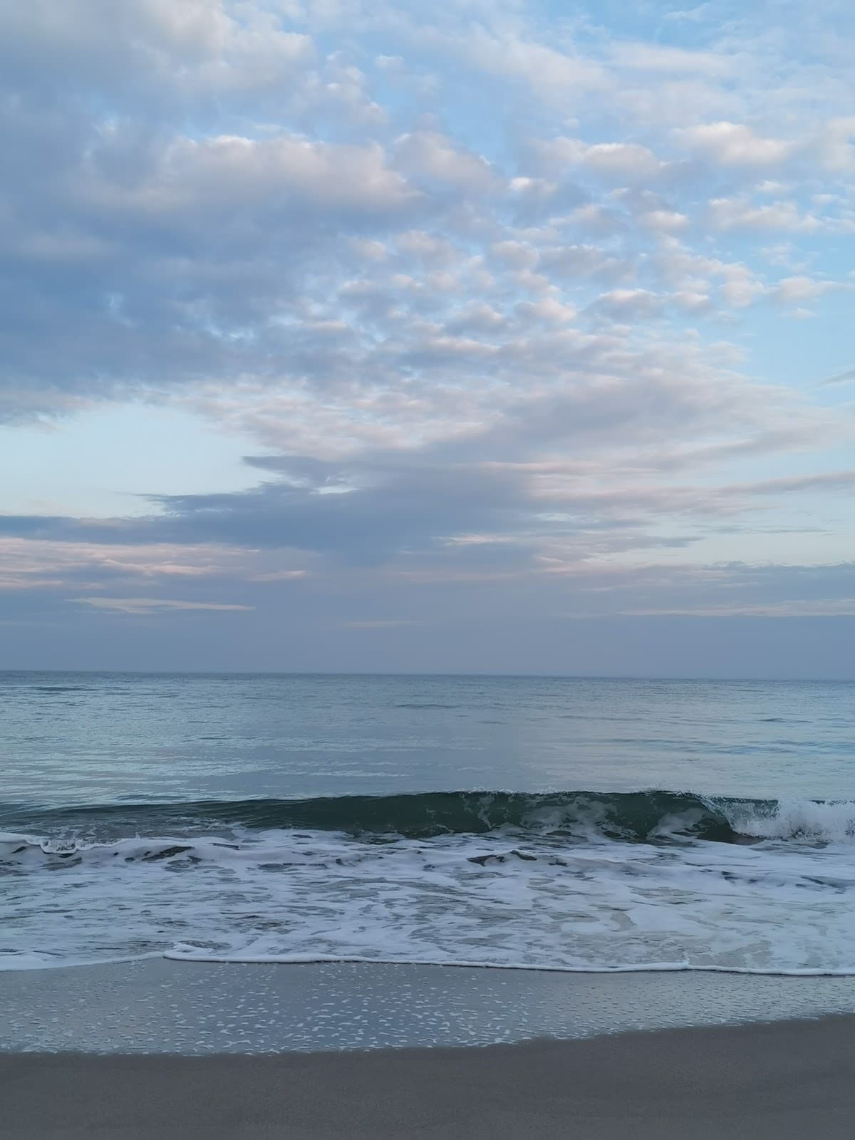 Vila 6 Neptun Olimp 3