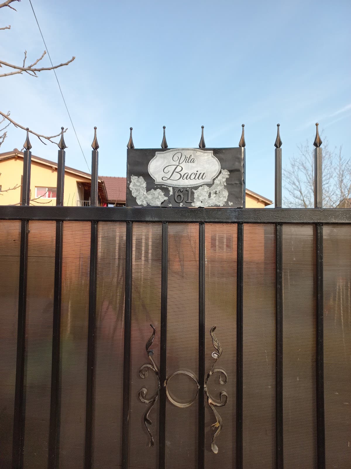 Vila Baciu 2