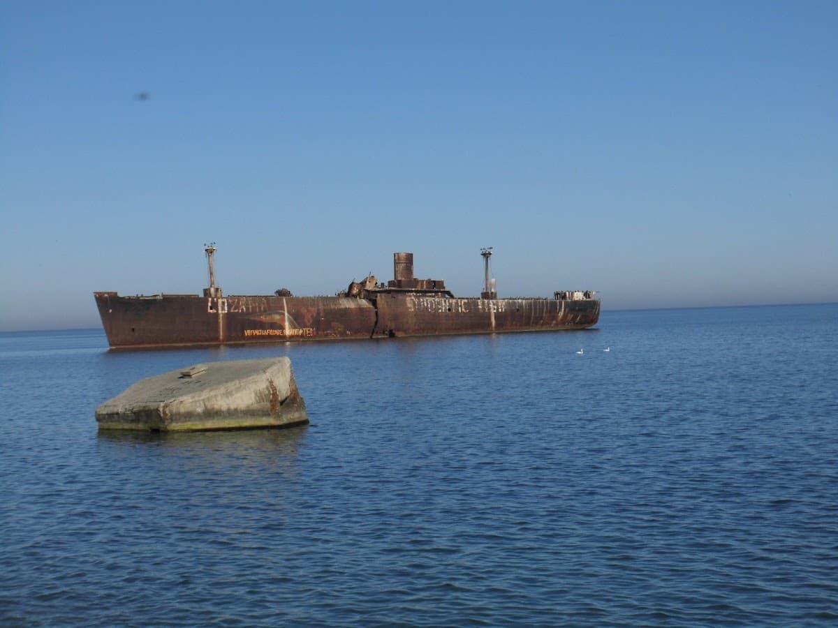 Vila Pestisorul Costinesti 3