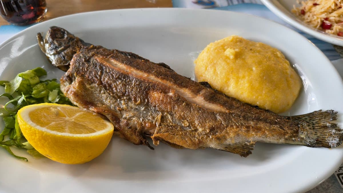 Cherhanaua Tașaul 3