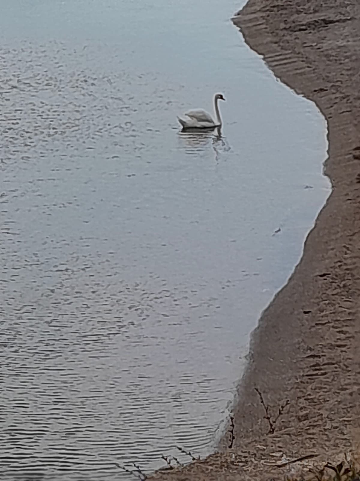 Restaurant Cupidon 3