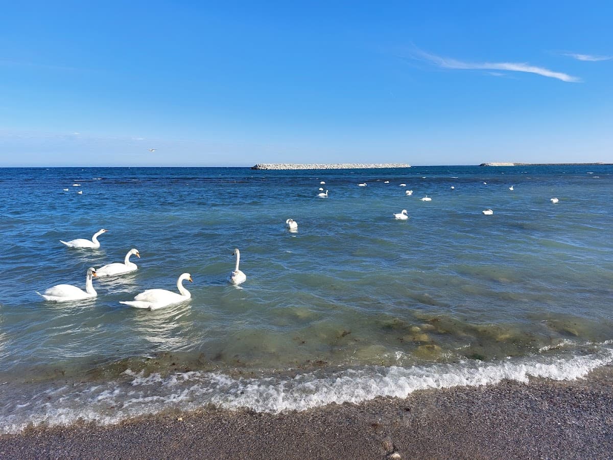 Taverna Capul Turcului 3