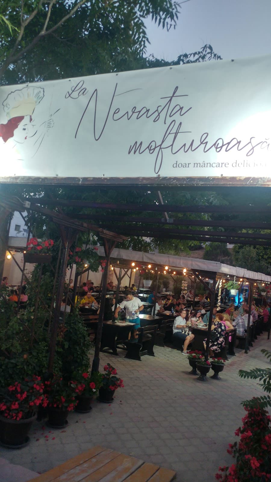 Teras La nevasta mofturoasa 2