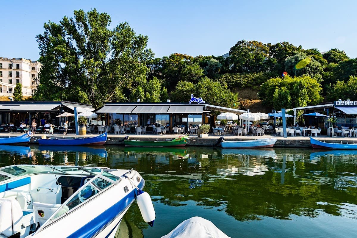 The Muse - Restaurant 3