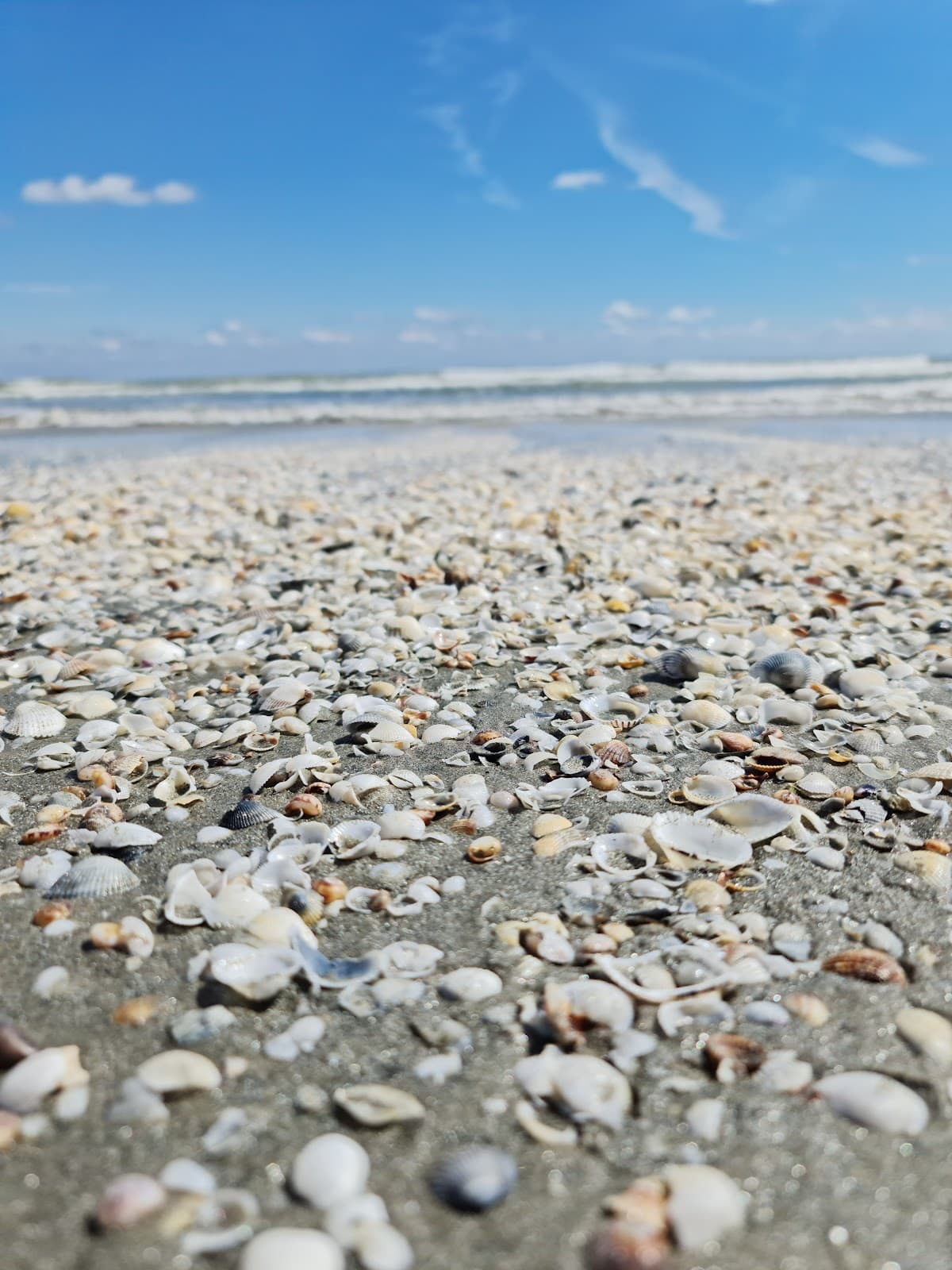 Năvodari — imagine 4