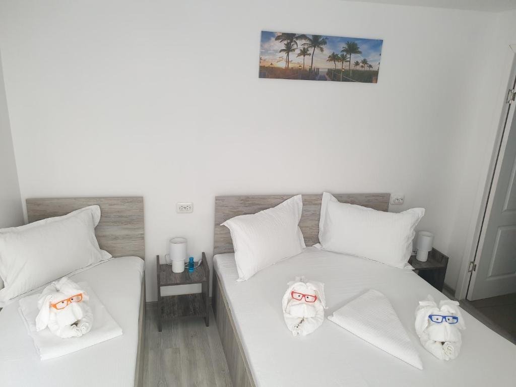 Casa David 2