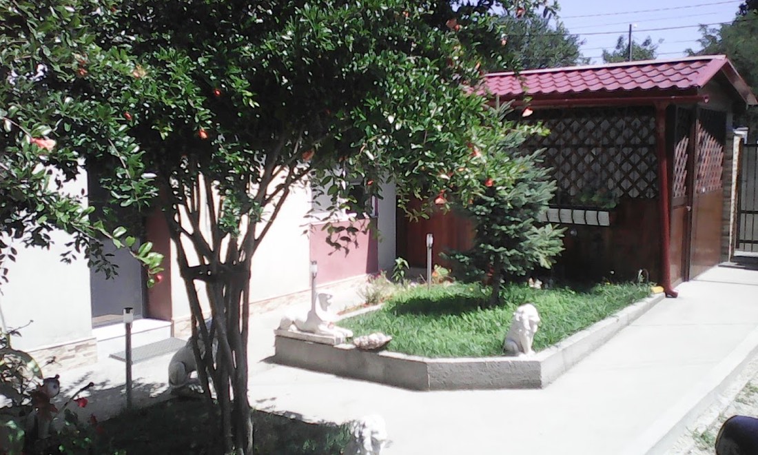 Casa Leaf