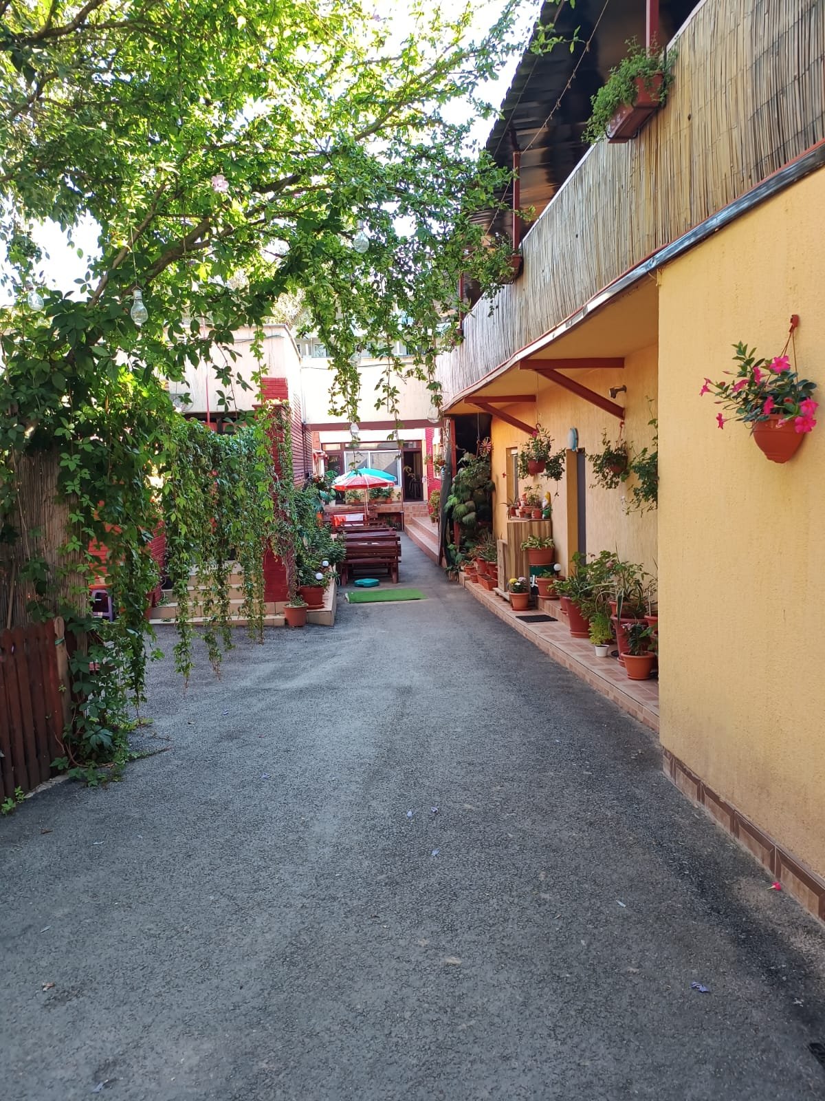 Casa Rebeca Neptun