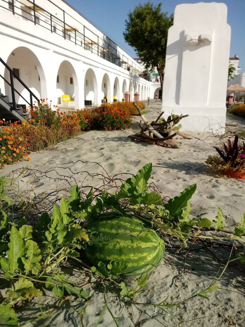 Hostel Cazino Sud