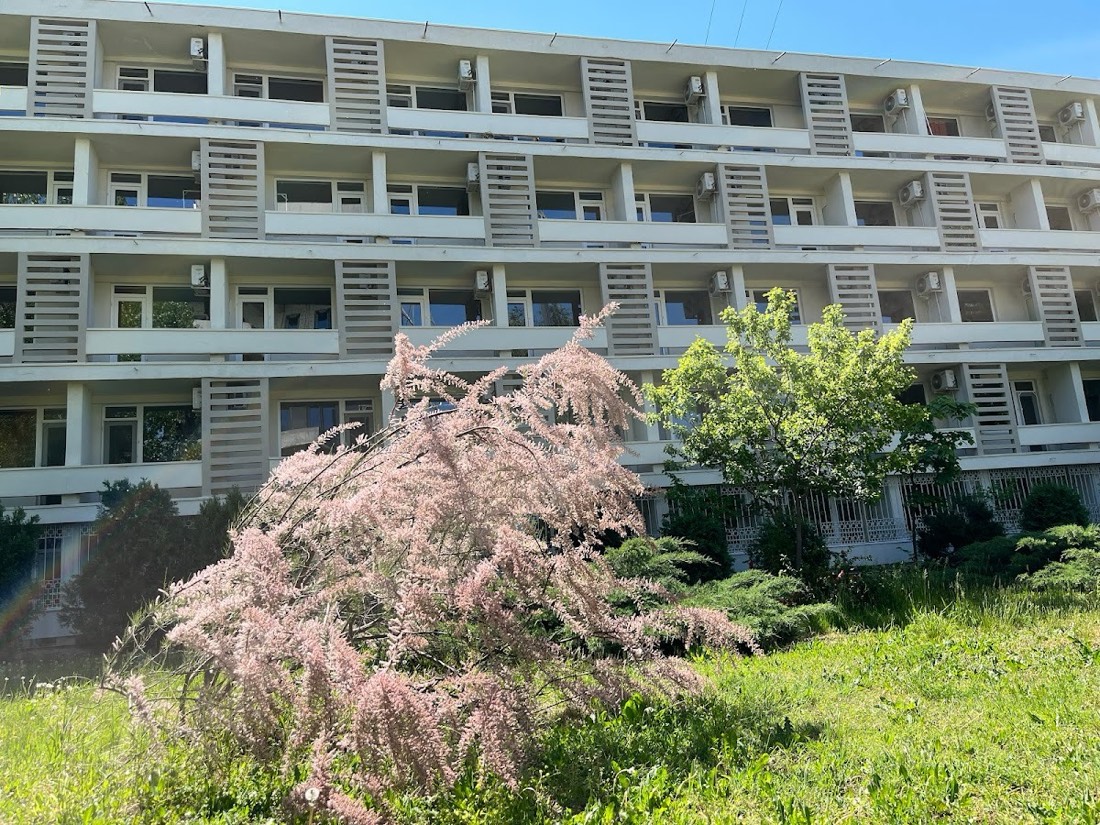 Hotel Delta Mamaia