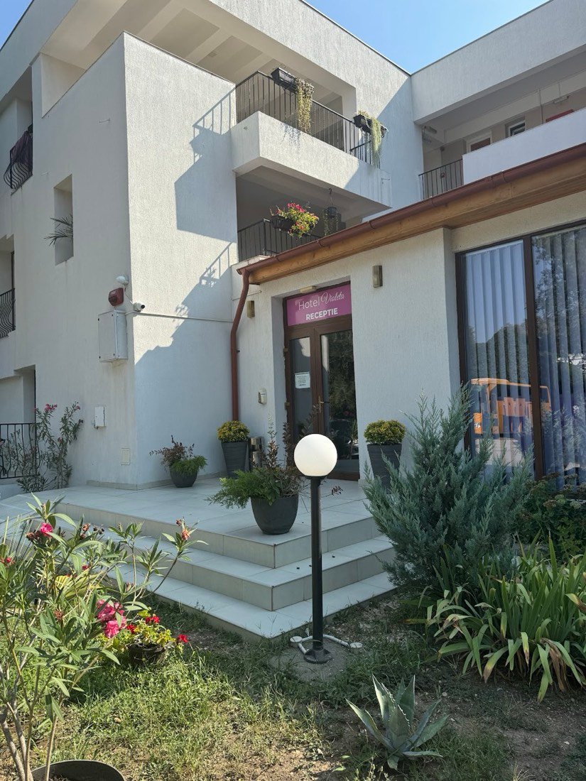 Hotel Violeta 3
