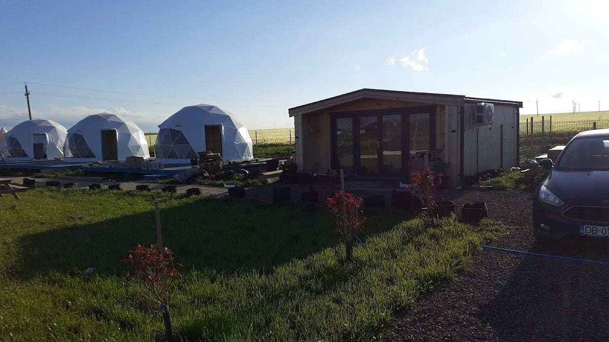 Mar a Lago Glamping23 2