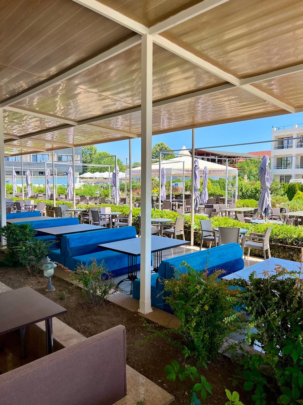 Palace Beach Resort - Venus 2