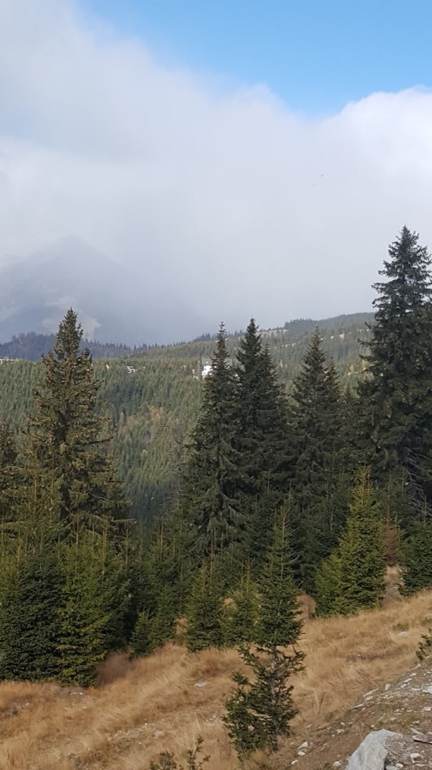 Pensiunea Geo Ranca