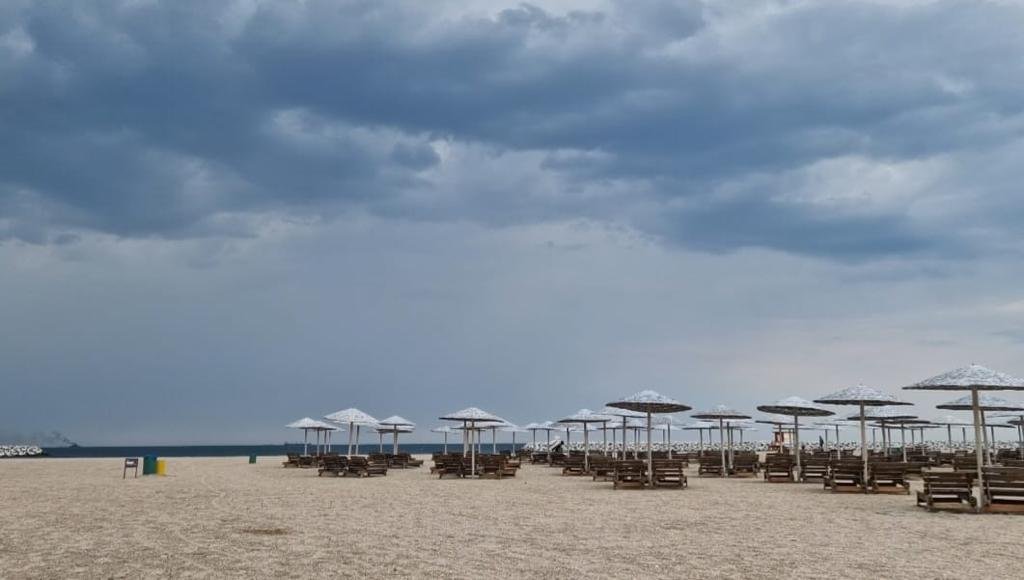 Steluța de Mare 3