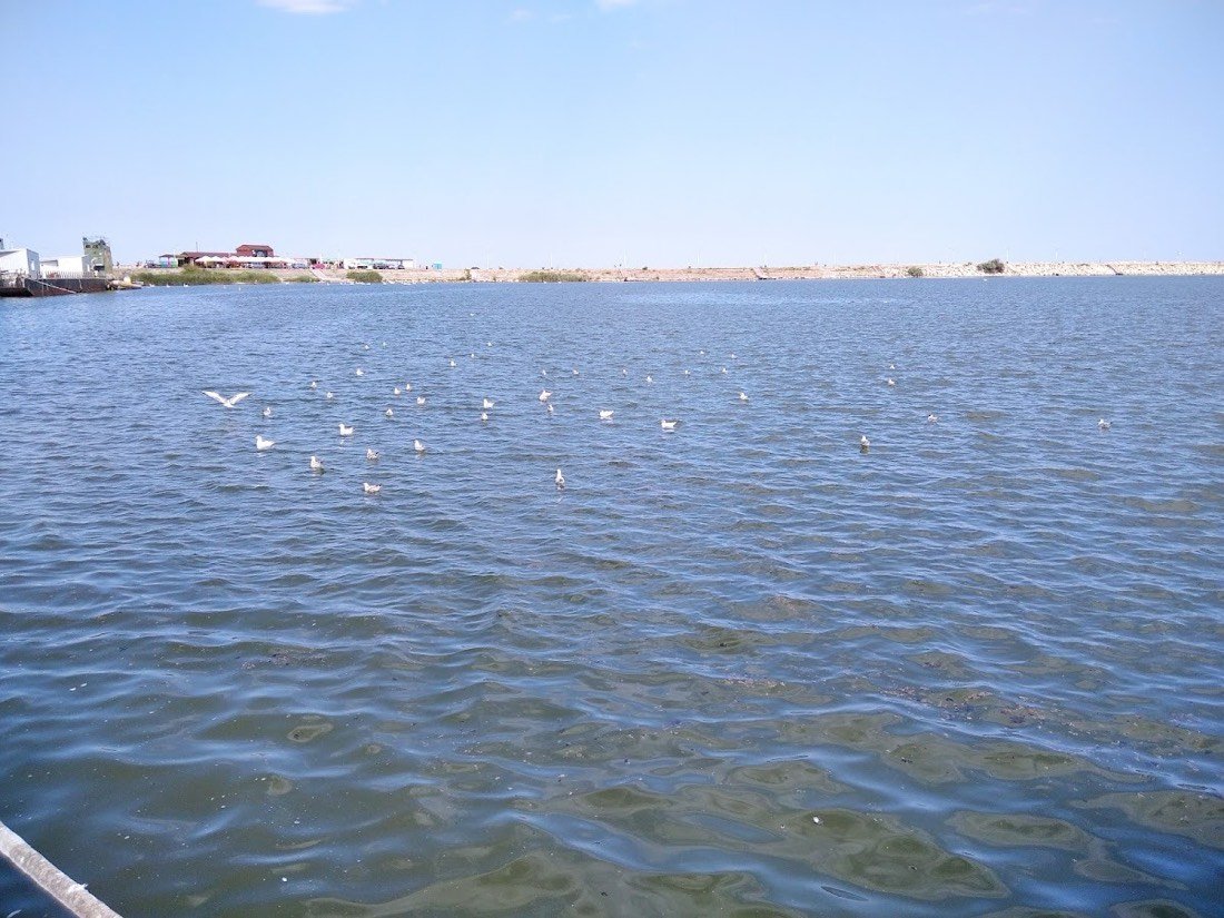 Sunny Yachting Mangalia 3