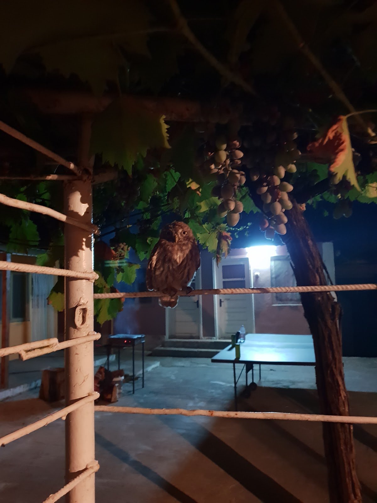Vila Cabaua 2