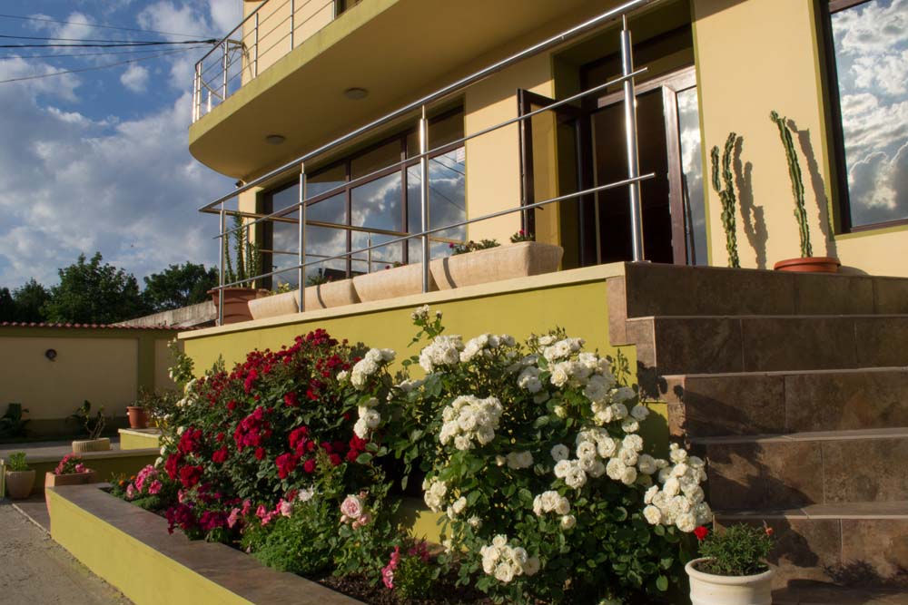 Vila Elva