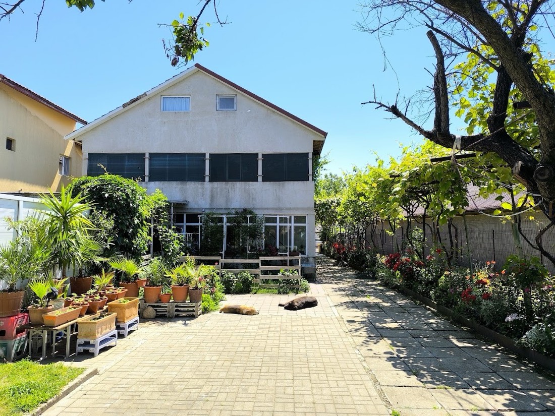 Vila Nino Filip
