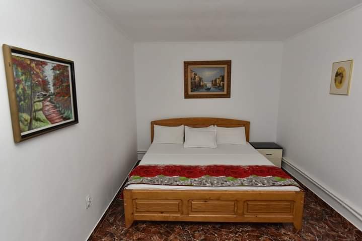 Vila si casa Kara 2