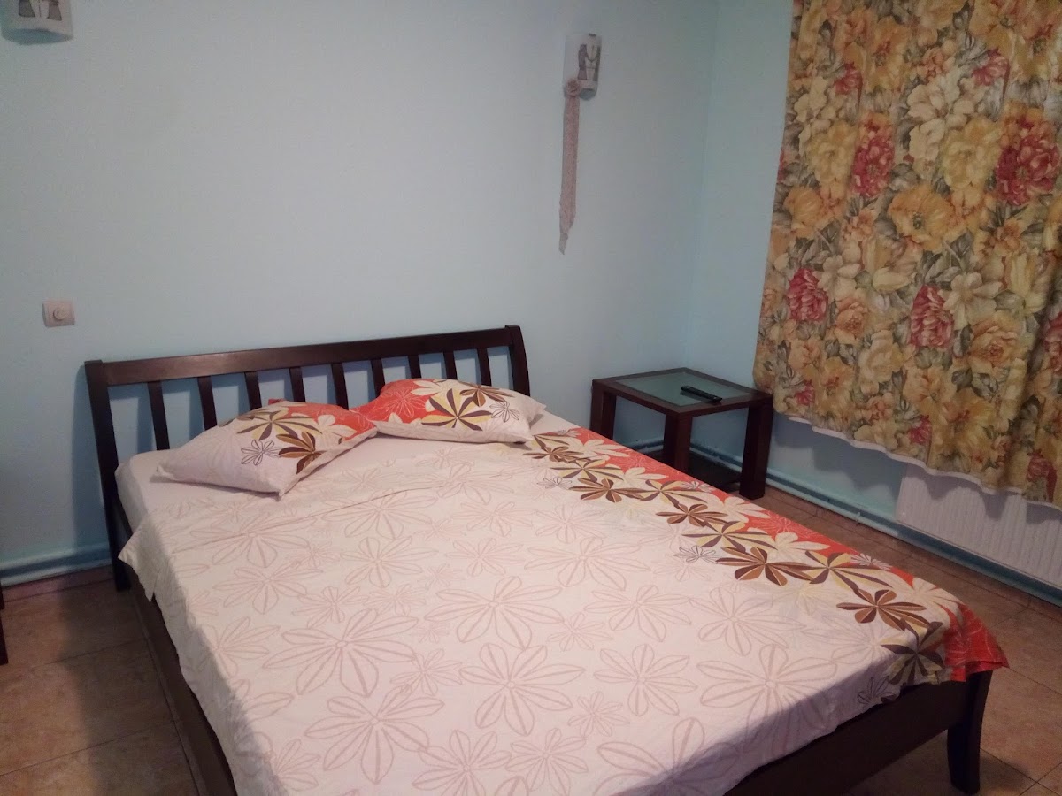 Vila Vasile