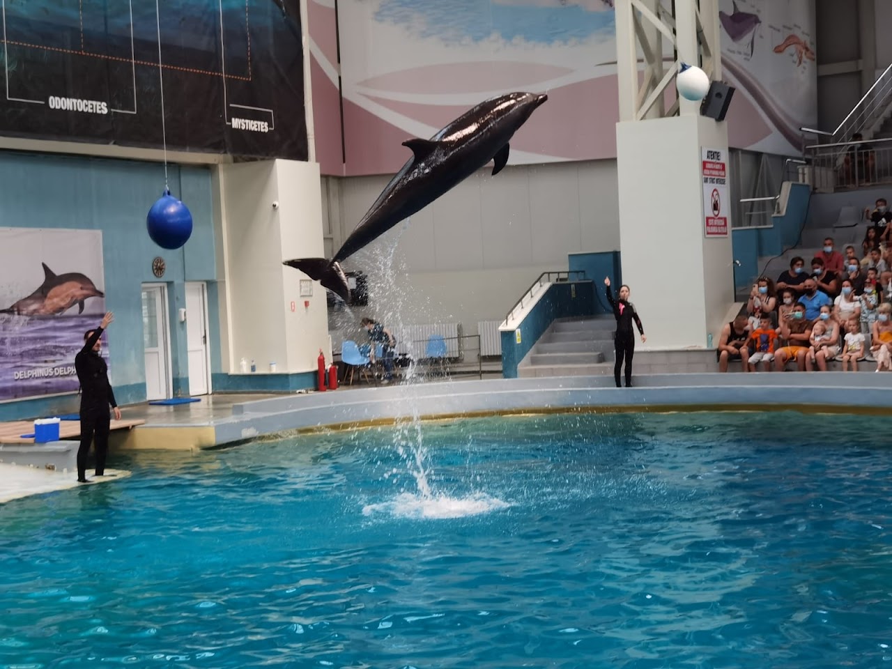 Delfinariul Constanța 3
