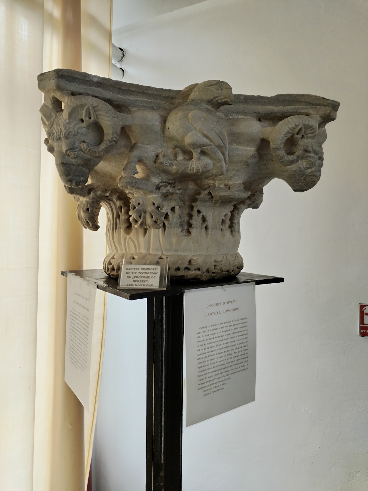 Muzeul de Arheologie Callatis 3