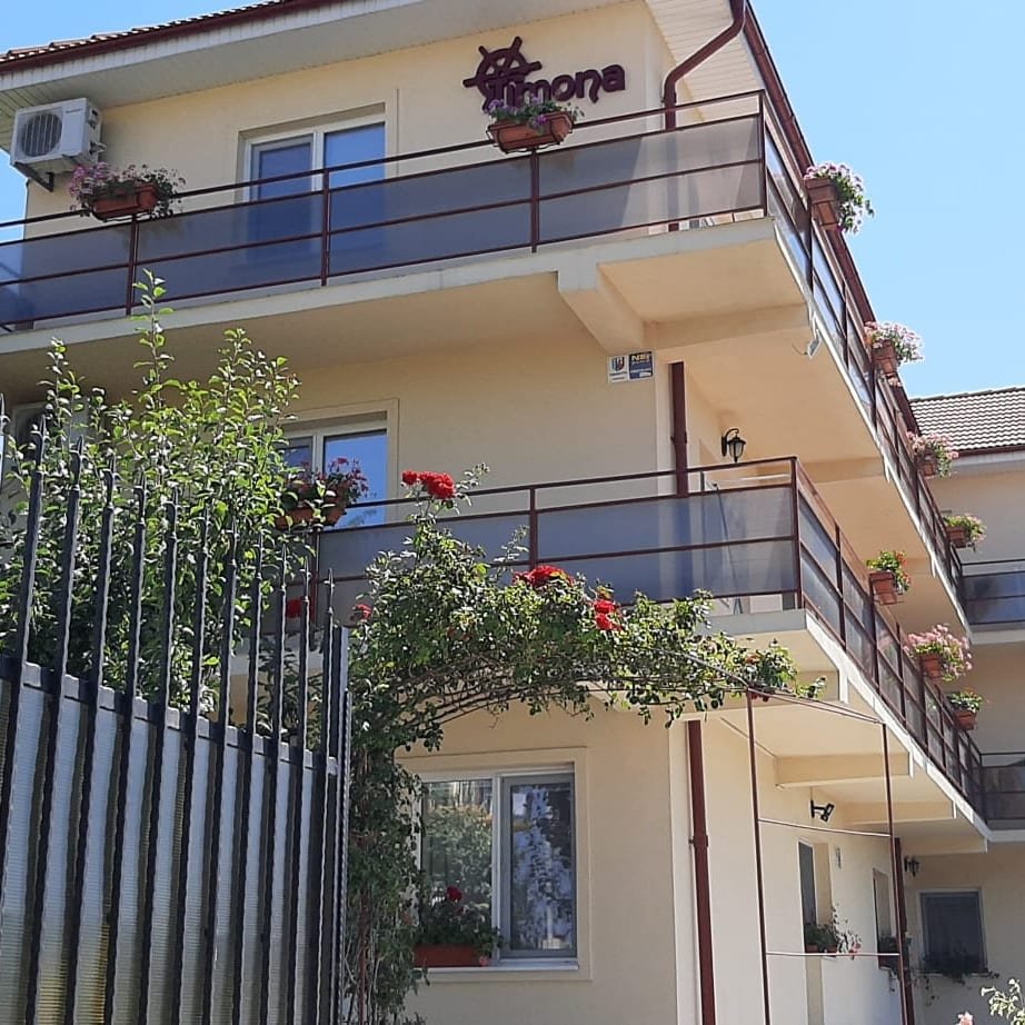 TIMONA COSTINEȘTI 3