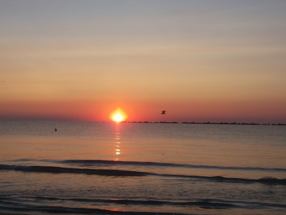Plaja Tomis 2