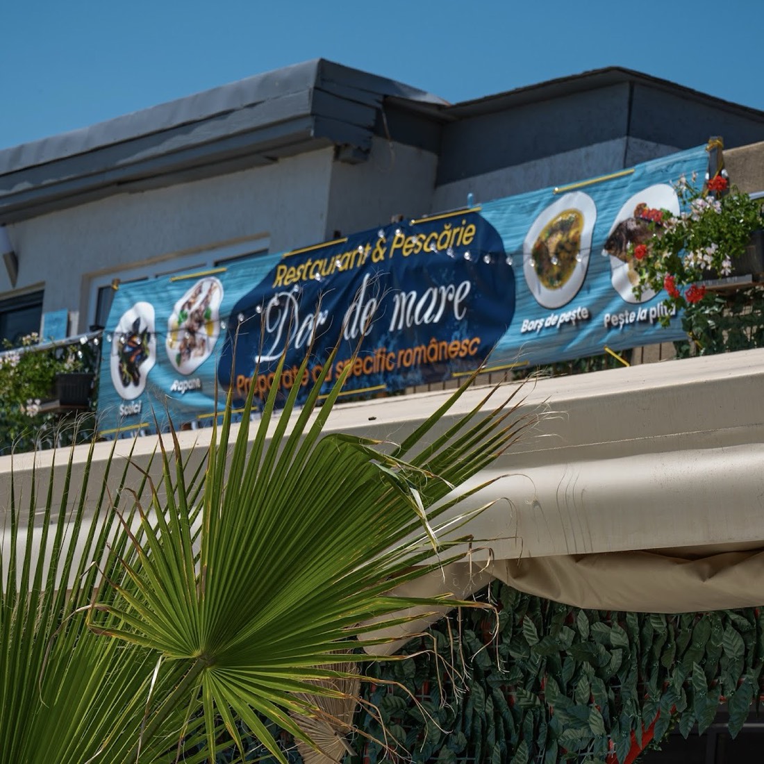 Dor De Mare