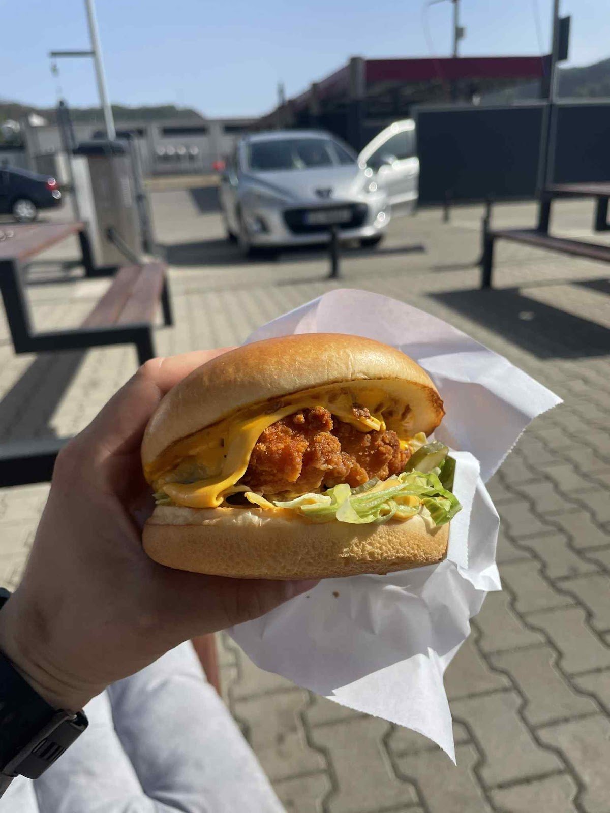 ElpatronBurger 3