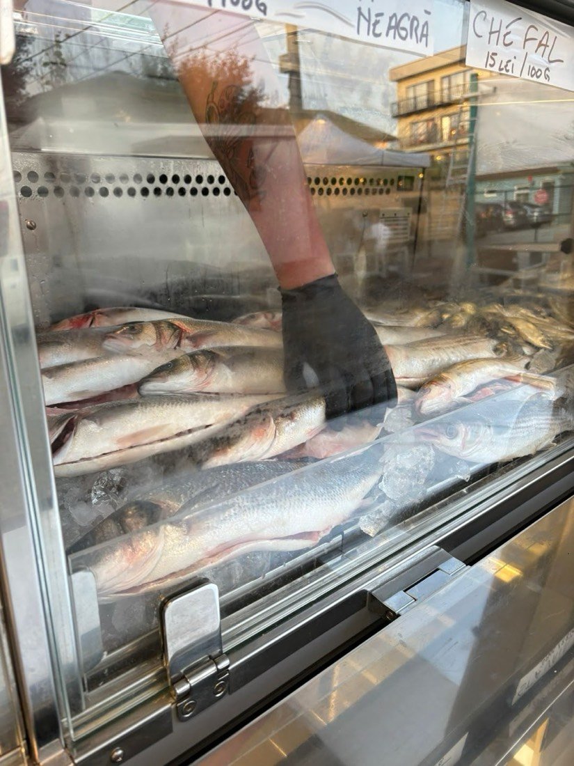 Gastro Bazar 3