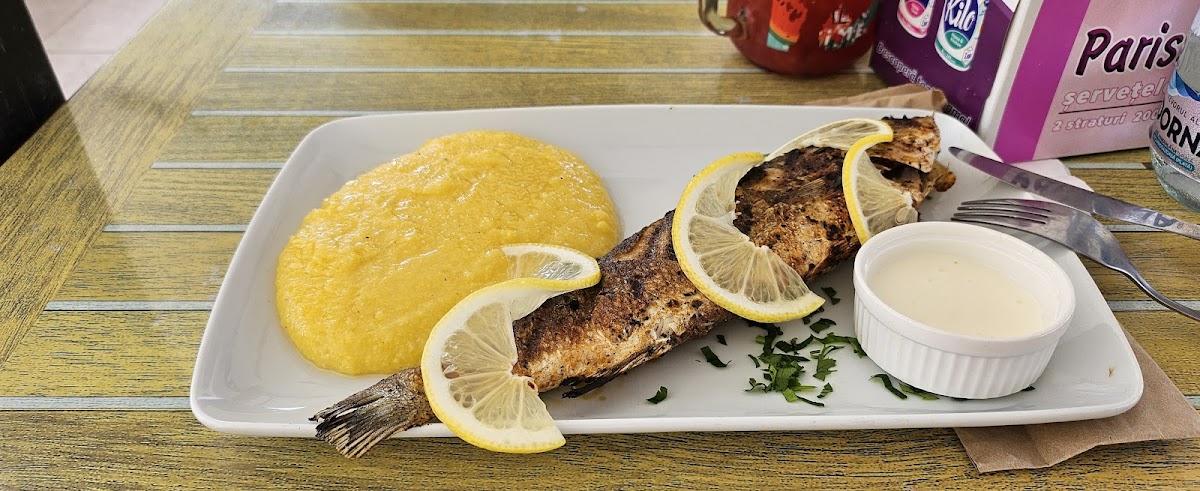 Restaurant Adria