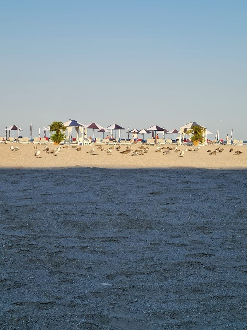 Tabara Nord 3