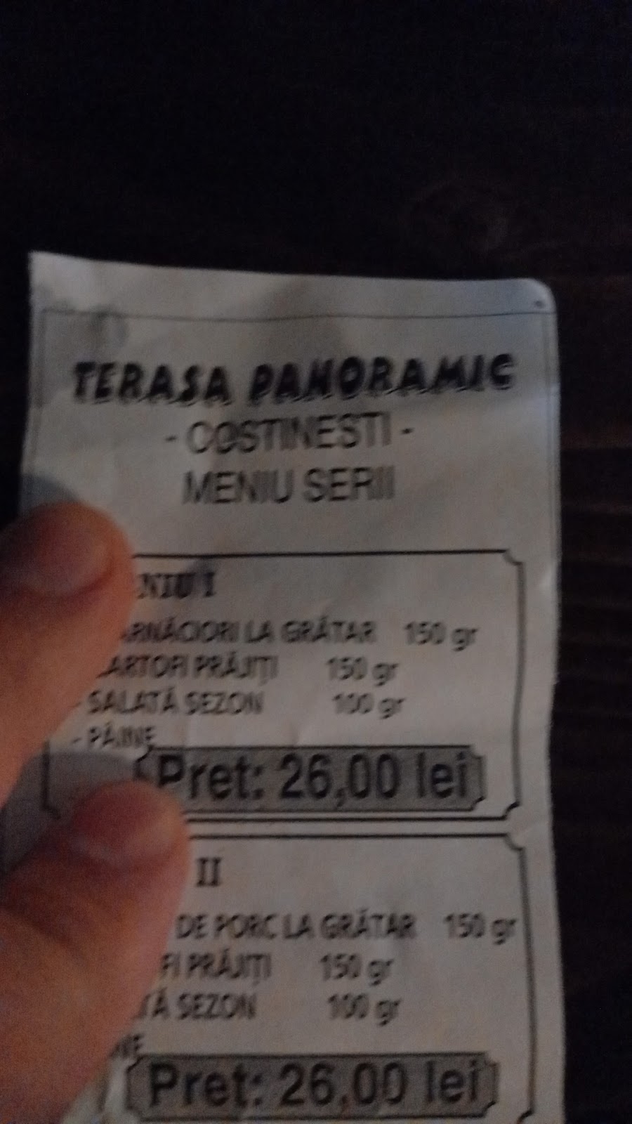 Terasa Panoramic